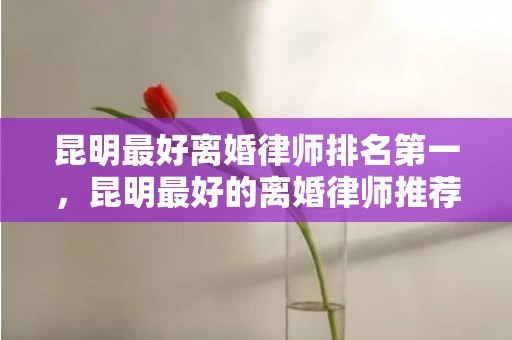 昆明最好离婚律师排名第一，昆明最好的离婚律师推荐