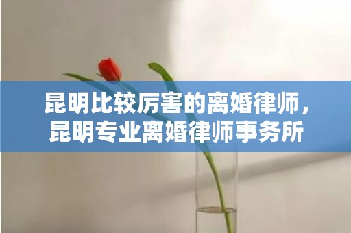 昆明比较厉害的离婚律师，昆明专业离婚律师事务所