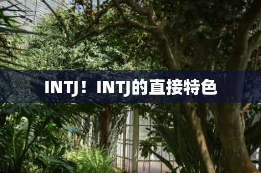 INTJ！INTJ的直接特色