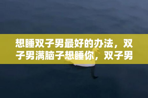 想睡双子男最好的办法，双子男满脑子想睡你，双子男满脑子想睡你