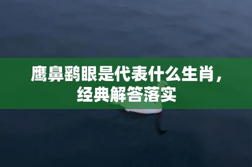 鹰鼻鹞眼是代表什么生肖，经典解答落实