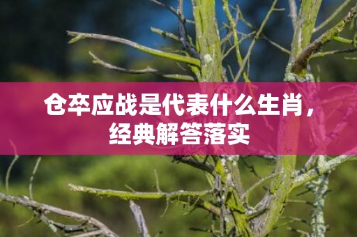 仓卒应战是代表什么生肖，经典解答落实