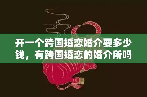 开一个跨国婚恋婚介要多少钱，有跨国婚恋的婚介所吗