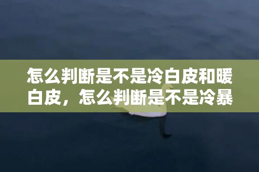 怎么判断是不是冷白皮和暖白皮，怎么判断是不是冷暴力，恋爱中的冷暴力的表现