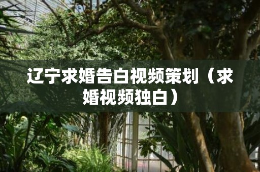 辽宁求婚告白视频策划（求婚视频独白）