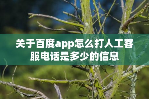 关于百度app怎么打人工客服电话是多少的信息