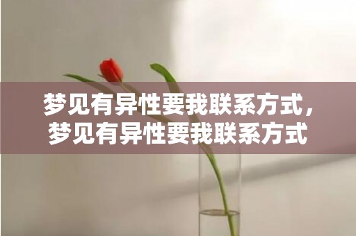 梦见有异性要我联系方式，梦见有异性要我联系方式