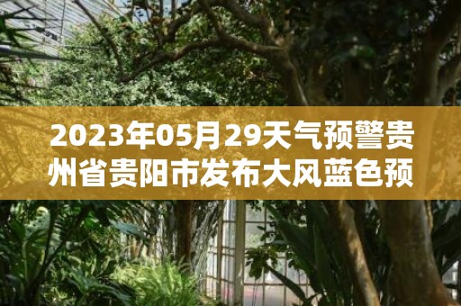 2023年05月29天气预警贵州省贵阳市发布大风蓝色预警