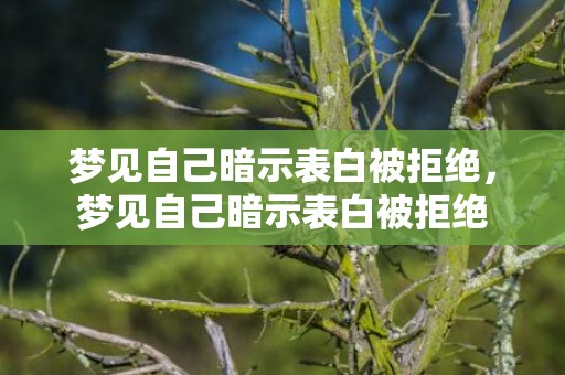 梦见自己暗示表白被拒绝，梦见自己暗示表白被拒绝