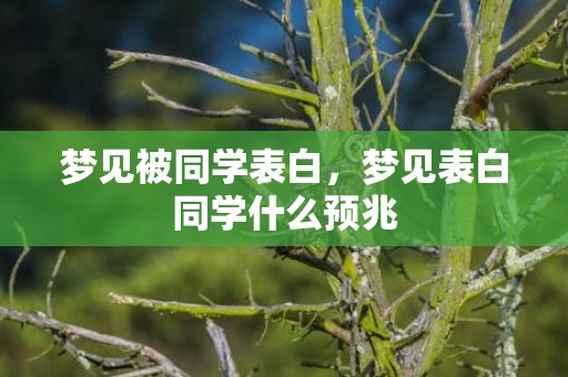 梦见被同学表白，梦见表白同学什么预兆