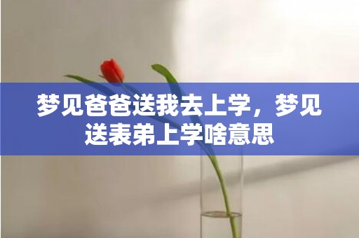 梦见爸爸送我去上学，梦见送表弟上学啥意思