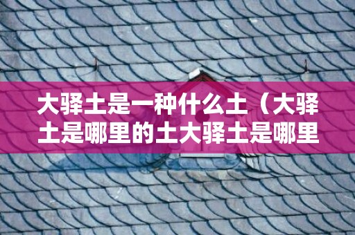 大驿土是一种什么土（大驿土是哪里的土大驿土是哪里的土这土多吗?）