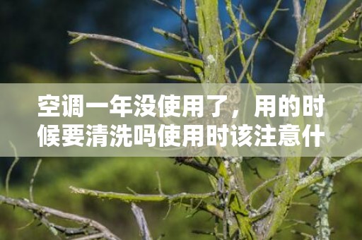 空调一年没使用了，用的时候要清洗吗使用时该注意什么