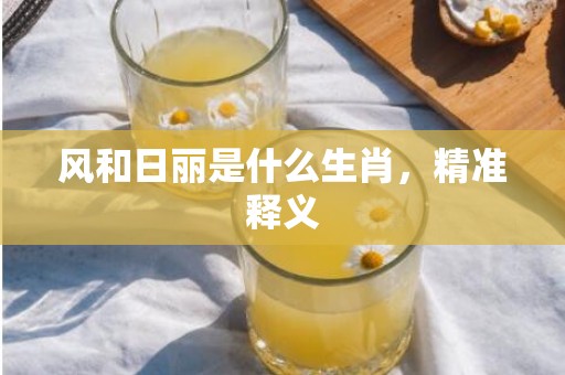 风和日丽是什么生肖，精准释义