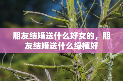 朋友结婚送什么好女的，朋友结婚送什么绿植好