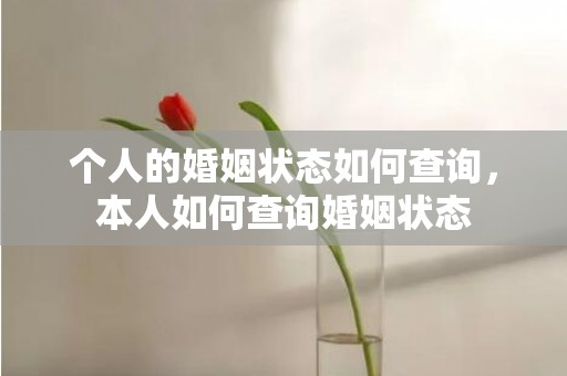 个人的婚姻状态如何查询，本人如何查询婚姻状态