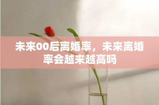 未来00后离婚率，未来离婚率会越来越高吗