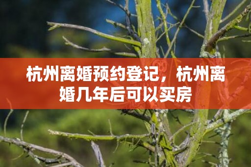 杭州离婚预约登记，杭州离婚几年后可以买房