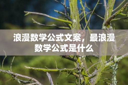 浪漫数学公式文案，最浪漫数学公式是什么