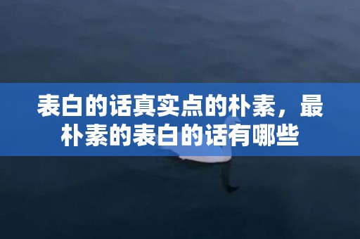 表白的话真实点的朴素，最朴素的表白的话有哪些