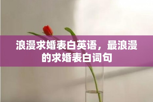 浪漫求婚表白英语，最浪漫的求婚表白词句