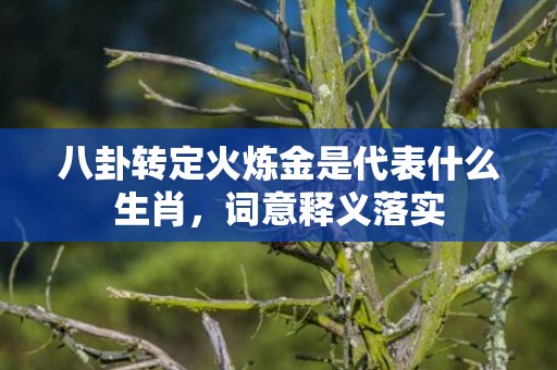 八卦转定火炼金是代表什么生肖，词意释义落实