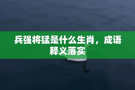 兵强将猛是什么生肖，成语释义落实