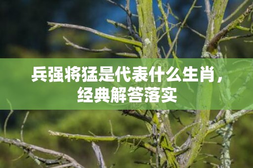 兵强将猛是代表什么生肖，经典解答落实