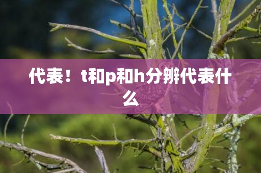 代表！t和p和h分辨代表什么