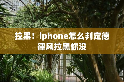 拉黑！iphone怎么判定德律风拉黑你没