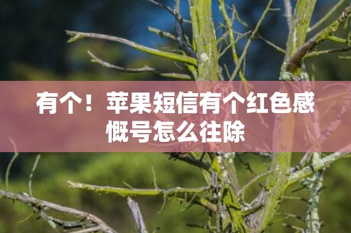 有个！苹果短信有个红色感慨号怎么往除