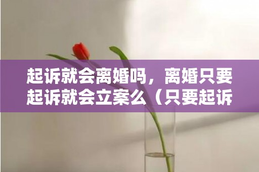 起诉就会离婚吗，离婚只要起诉就会立案么（只要起诉离婚,最后都会成功吗）