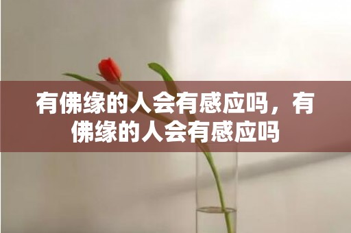 有佛缘的人会有感应吗，有佛缘的人会有感应吗