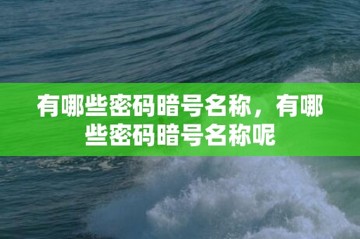 有哪些密码暗号名称，有哪些密码暗号名称呢