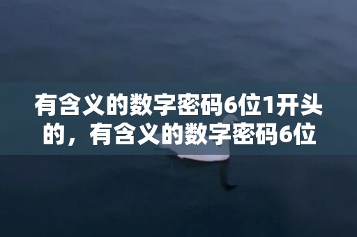 有含义的数字密码6位1开头的，有含义的数字密码6位数