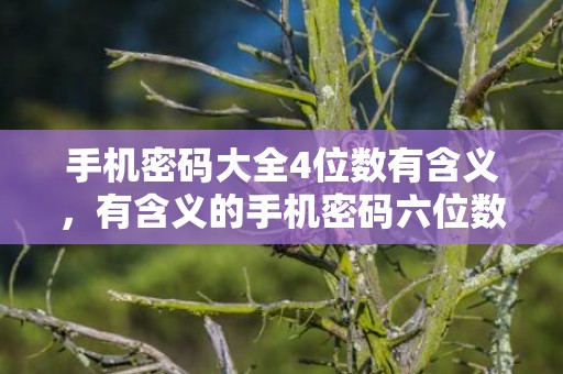 手机密码大全4位数有含义，有含义的手机密码六位数