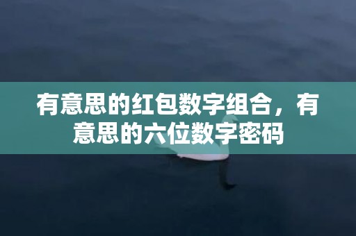 有意思的红包数字组合，有意思的六位数字密码