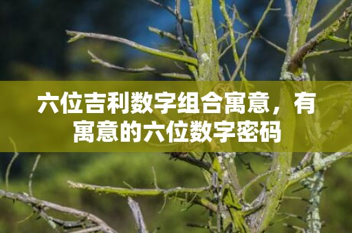 六位吉利数字组合寓意，有寓意的六位数字密码