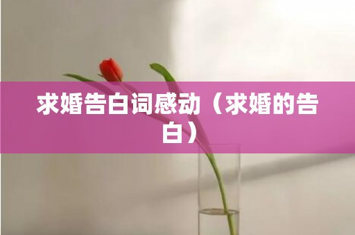 求婚告白词感动（求婚的告白）