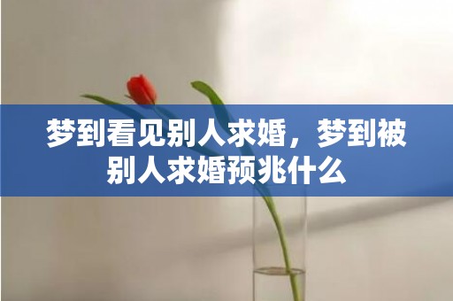 梦到看见别人求婚，梦到被别人求婚预兆什么