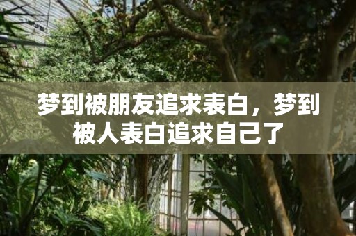 梦到被朋友追求表白，梦到被人表白追求自己了