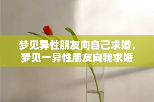 梦见异性朋友向自己求婚，梦见一异性朋友向我求婚