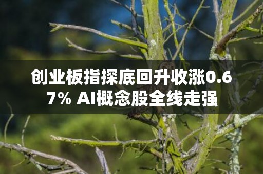 创业板指探底回升收涨0.67% AI概念股全线走强