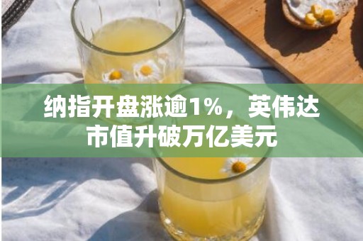 纳指开盘涨逾1%，英伟达市值升破万亿美元