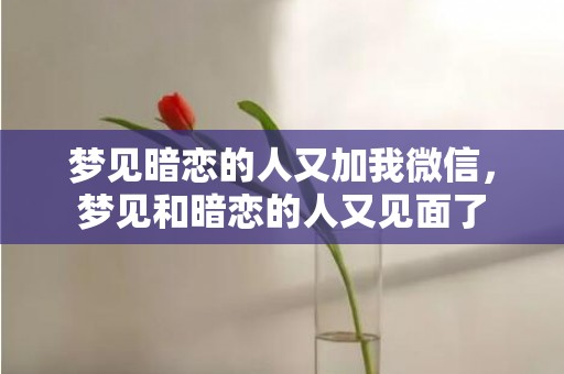 梦见暗恋的人又加我微信，梦见和暗恋的人又见面了