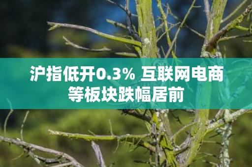 沪指低开0.3% 互联网电商等板块跌幅居前