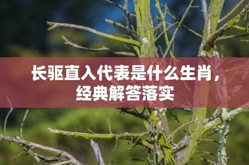 长驱直入代表是什么生肖，经典解答落实