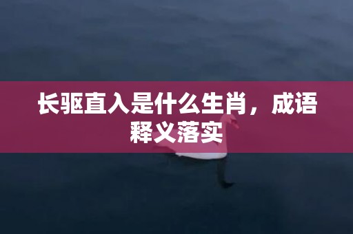 长驱直入是什么生肖，成语释义落实