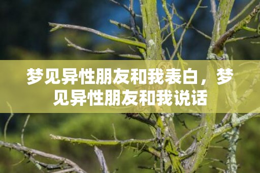 梦见异性朋友和我表白，梦见异性朋友和我说话