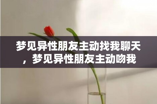 梦见异性朋友主动找我聊天，梦见异性朋友主动吻我